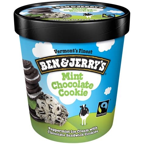 Ben & Jerry's Mint Chocolate Cookies