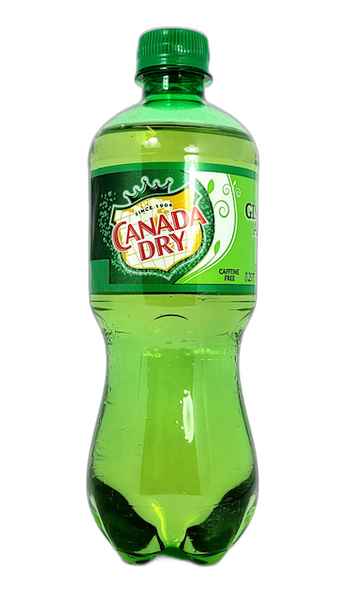 Canada Dry Ginger Ale 20 fl oz Bottle