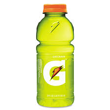 Gatorade Thirst Quencher Lemon Lime 20 fl oz Bottle