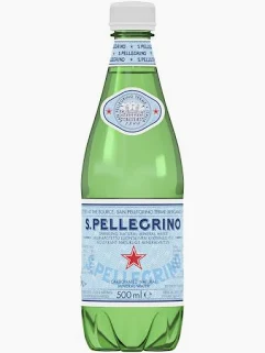S.Pellegrino Sparkling Natural Mineral Water 16.9