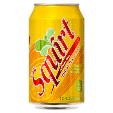 Squirt Soda 12 fl oz Can