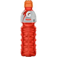 Gatorade Thirst Quencher Fruit Punch 24 fl oz Bottle