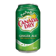 Canada Dry Ginger Ale 12 fl oz Can