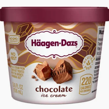 Haagen Dazs chocolate ice cream 3.6 oz
