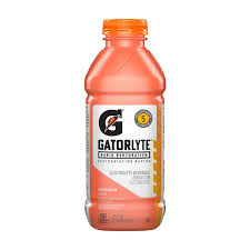 Gatorade Gatorlyte Rapid Rehydration Watermelon 20 fl oz Bottle