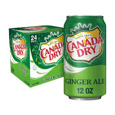 Canada Dry Ginger Ale 24pk/12 fl oz Cans